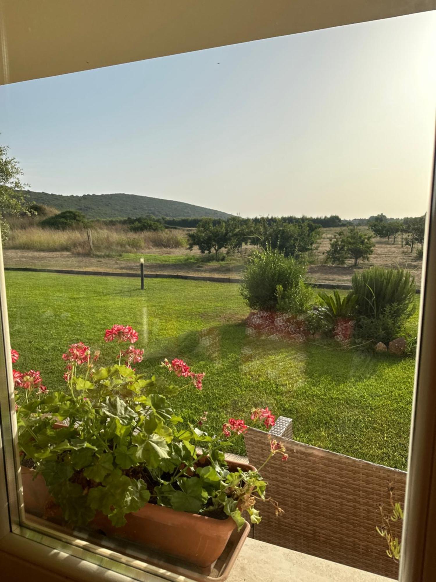 Villa Arzilla Sardegna アルゲーロ エクステリア 写真