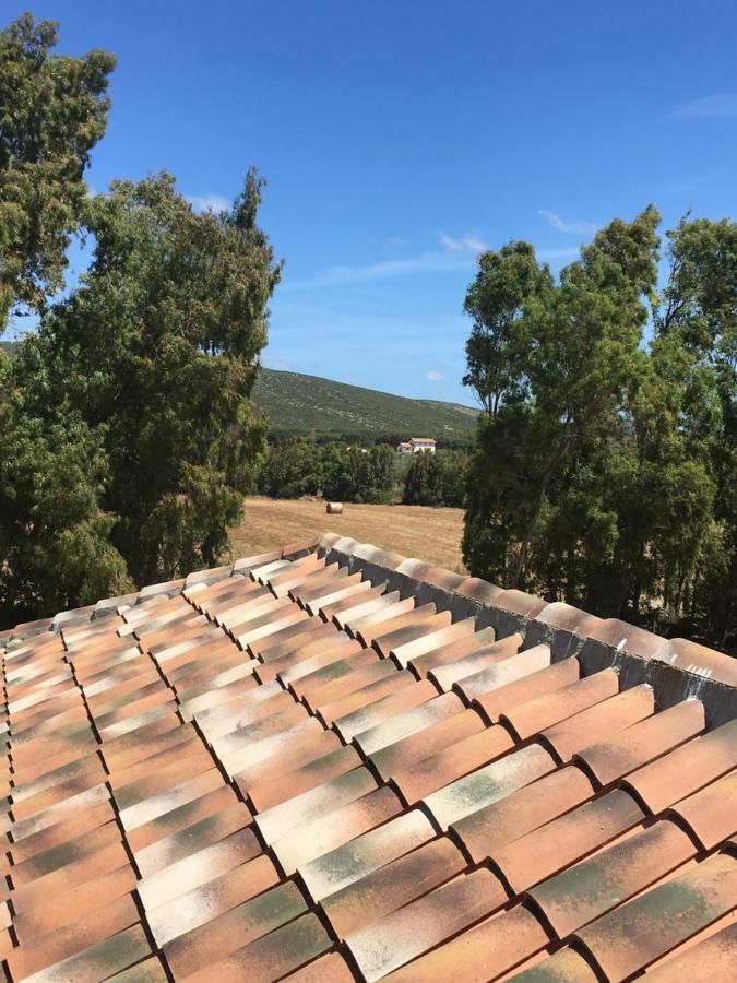 Villa Arzilla Sardegna アルゲーロ エクステリア 写真